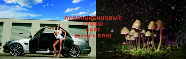 стаф Зерноград