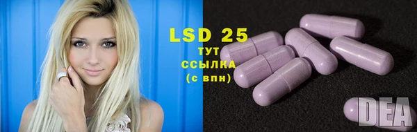 стаф Зерноград