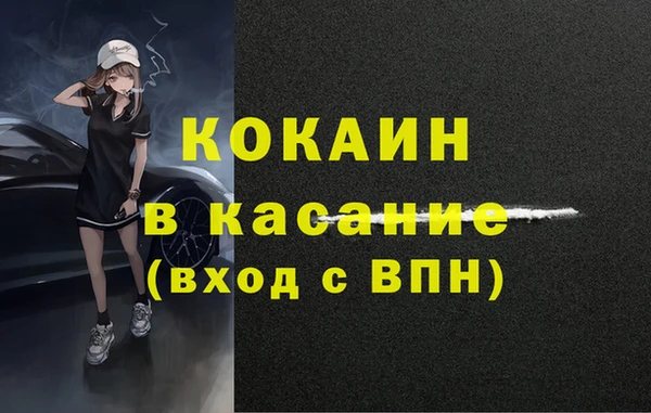 стаф Зерноград