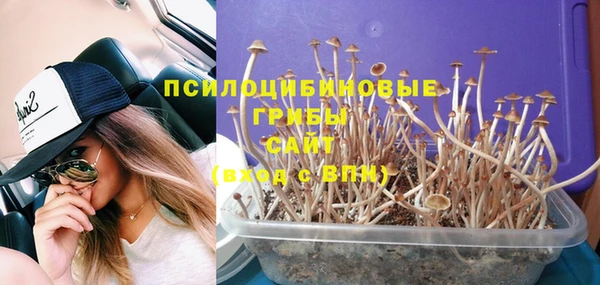 MESCALINE Зеленодольск