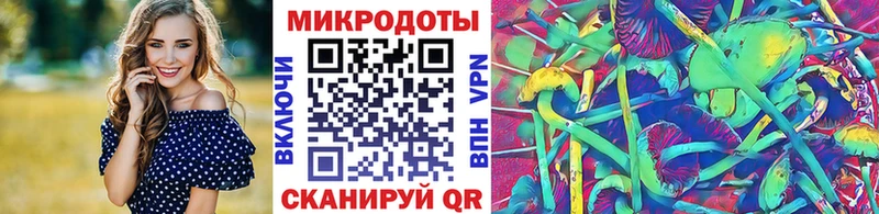 Купить  Дудинка  Галлюциногенные грибы GOLDEN TEACHER 
